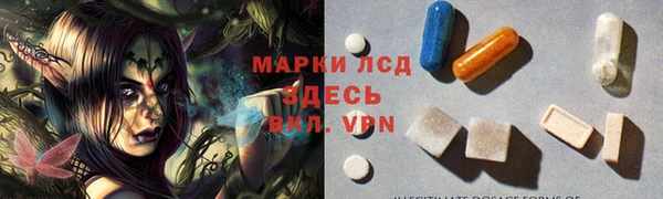 индика Белоозёрский