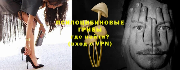 индика Белоозёрский