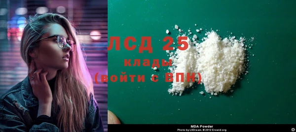 индика Белоозёрский