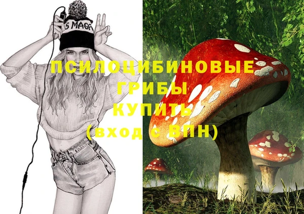 индика Белоозёрский