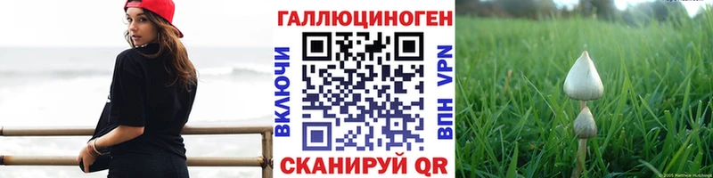 купить закладку  Жуков  Псилоцибиновые грибы GOLDEN TEACHER 